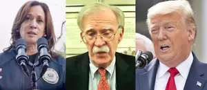 IANS World Exclusive: Former Trump advisor cites Kamala Harris  weaknesses, reckons VP made no effort to master national security affairs