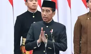 Indonesian president inaugurates private hospitals in new capital
