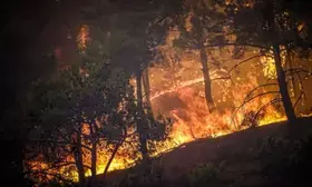 22 million hectares of forest affected by fires in Brazil