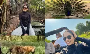 Manushi Chhillar documents her jungle safari in Insta photo dump