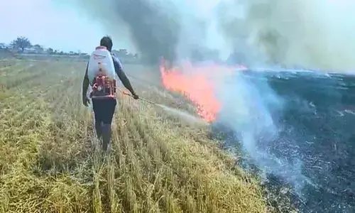 Stubble burning: CAQM empowers DMs to prosecute officials for inaction