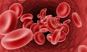 Thalassemia group says shortage of critical drug in public hospitals, drugmaker Novartis denies