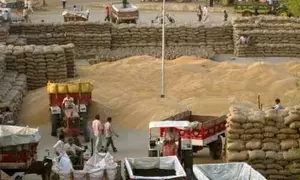 Ministers to supervise paddy procurement in Odisha