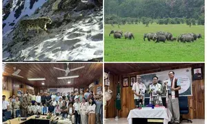 Arunachal Pradesh is home to 36 snow leopards: Study