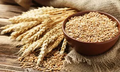 Government Increases MSP for Key Crops to Boost Farmers Income and Ensure Economic Stability