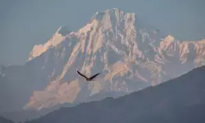 870 climbers allowed to scale 37 peaks in Nepal