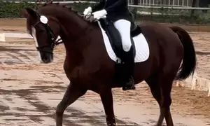 Young Inaara Mehta shines in trials for FEI World Dressage Challenge