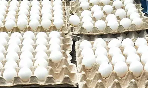 Bangladesh slashes egg import duties, from 25% to 5%