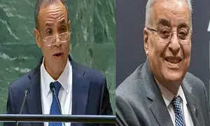 Egyptian, Lebanese FMs discuss developments, de-escalation efforts in Lebanon