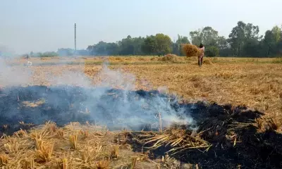 Fix MSP for stubble, Hooda asks Haryana govt