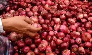 Onion prices likely to dip in Delhi as Kanda Express on way