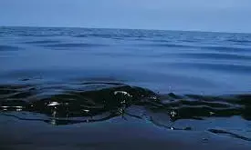 Singapore sees oil leak in near waters