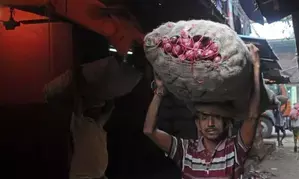 Retail inflation for farm and rural labourers marginally up in September