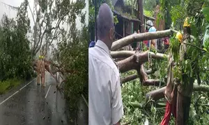 Cyclone Dana aftermath: Relief, restoration work in Odisha underway on war footing