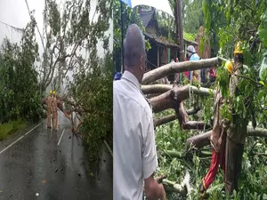 Cyclone Dana aftermath: Relief, restoration work in Odisha underway on war footing Cyclone Dana aftermath: Relief, restoration work in Odisha underway on war footing