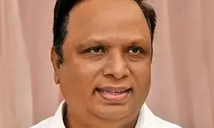 Will discuss supporting Amit Thackeray with Mahayuti: Mumbai BJP chief Shelar