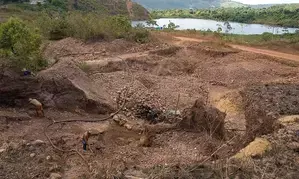 Norway allocates $22 million to support Colombias fight against deforestation