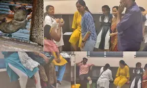 Abandoned rabid pet dog bites 30 in K’taka’s Hubballi, sparking outrage