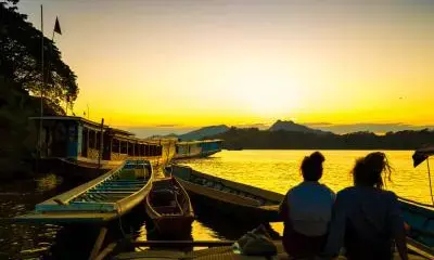 Laos seeks to boost cattle production