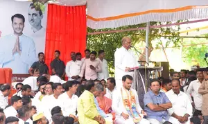 Maha polls: Sharad Pawar mimics nephew Ajit Pawar’s tear-jerker act