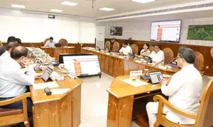 Tripura govt announces 5 pc DA for employees