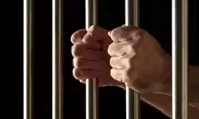 Every arrest and detention doesn’t amount to custodial torture: Allahabad HC