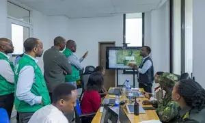 Monkeypox cases surge over 500 per cent in Africa, affecting 19 countries: Africa CDC