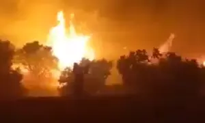 One killed, seven injured in forest fires in Syria