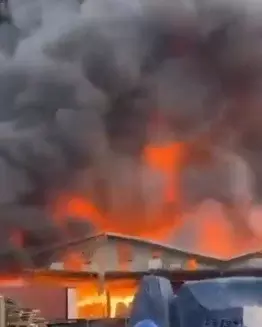 Indonesia: Nine killed, four injured in cooking oil factory fire