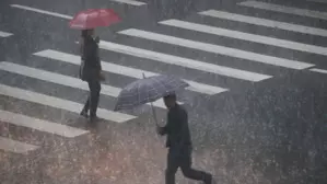 Heavy rain halts trains in Japan, triggering landslide risks