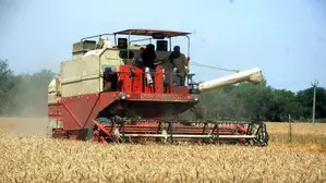 Punjab sanctions nearly 22 thousand residue management machines