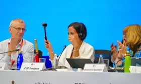 UN biodiversity talks in Cali end with key decisions on finance delayed