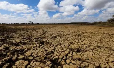 Over 65 million people food insecure in Horn of Africa: report