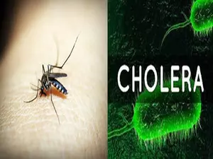 Cholera cases in Sudan rise to 30,880, dengue fever to 6,011: Health ministry Cholera cases in Sudan rise to 30,880, dengue fever to 6,011: Health ministry