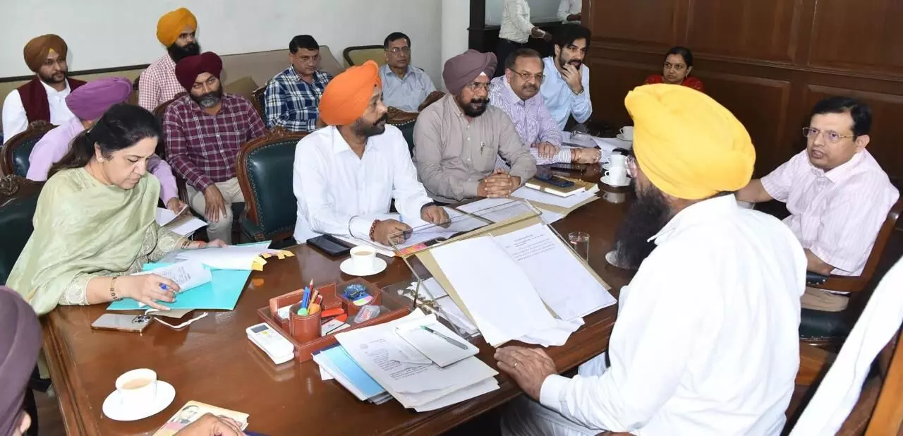 Punjab Government Sets November 25 as Start Date for Sugarcane Crushing Season Punjab Government Sets November 25 as Start Date for Sugarcane Crushing Season