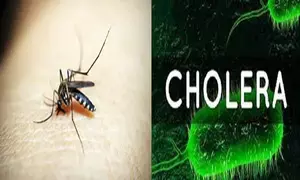 Cholera cases in Sudan rise to 30,880, dengue fever to 6,011: Health ministry