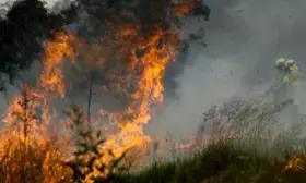 Bushfire threat forces evacuation of Australian town