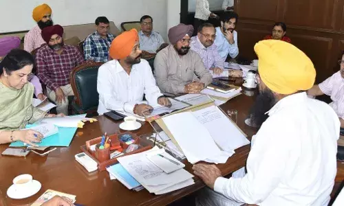 Punjab Government Sets November 25 as Start Date for Sugarcane Crushing Season
