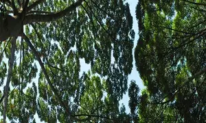 Nations must dramatically increase climate adaptation efforts: UN Environment