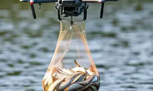 Centre to unveil drone technology for fisheries sector in Kochi