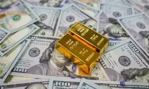 India’s forex kitty at $684.8 billion, gold reserves rise by $1.2 bn