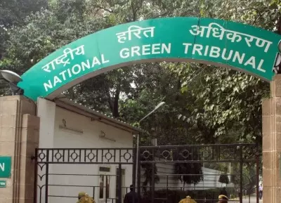 17,607 trees were cut for construction of the Kanwar Marg, notes NGT 17,607 trees were cut for construction of the Kanwar Marg, notes NGT