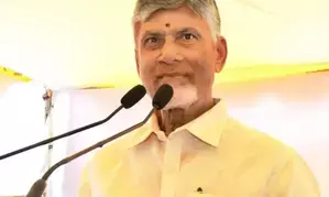 Nominated posts filled after screening 30,000 applications:  Chandrababu Naidu