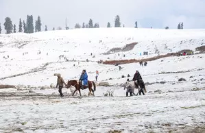 J&K: Winter preparedness in Gulmarg reviewed