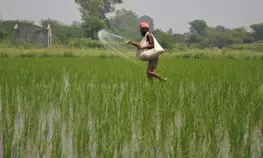 UN report warns nitrous oxide emissions impact public health