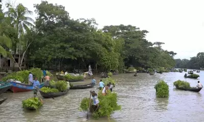 Bangladesh includes 1,000 threatened species in Red List of Plants