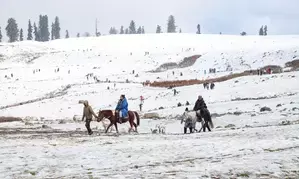 J&K: Winter preparedness in Gulmarg reviewed