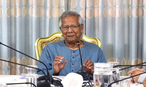 Bangladesh calls for South Asia grid to share hydroelectricity