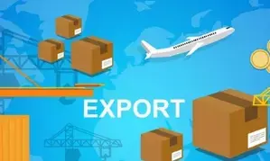 India’s merchandise exports surge 17.25 pc in October