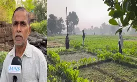 PM Kisan Samman Nidhi scheme bringing smile to Nalanda farmers
